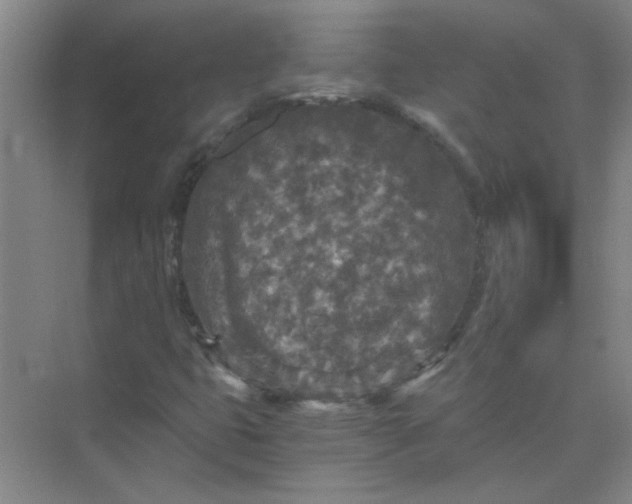 X0000073981399200609051859