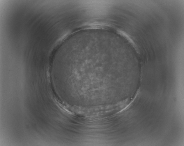 X0000073981403200609051859
