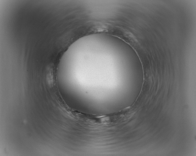X0000073981442200609051859