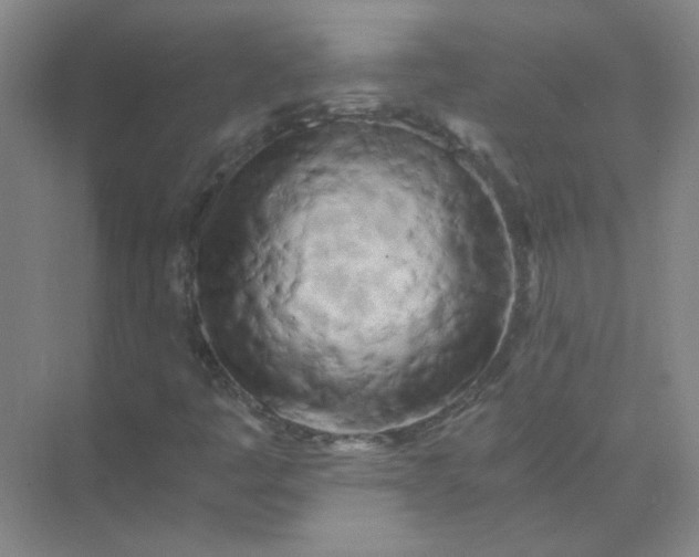 X0000073981445200609051859