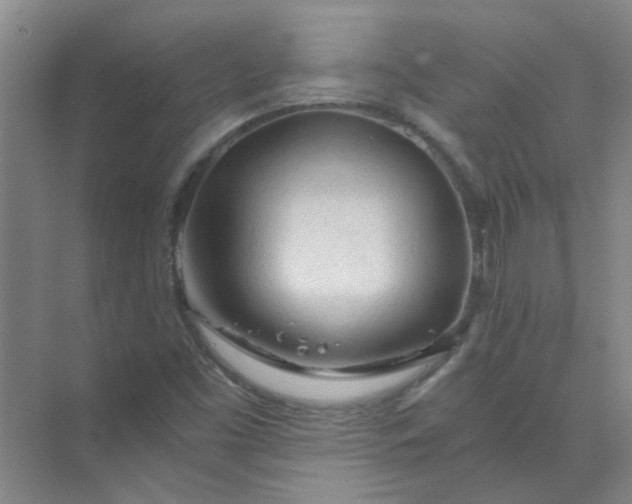 X0000073981453200609051858