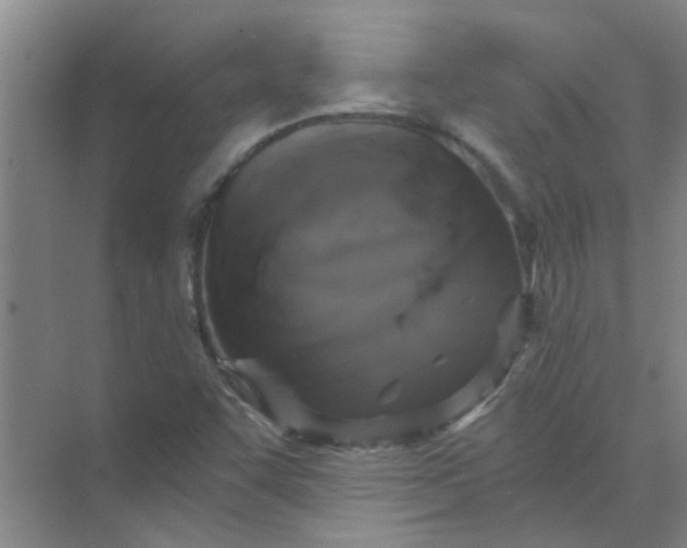 X0000073981455200609051858