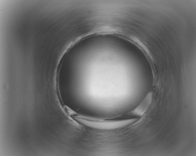 X0000073981477200609051858