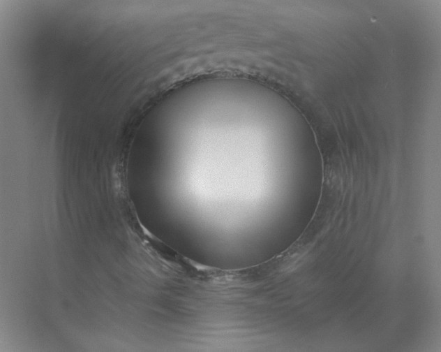 X0000073981490200609051857