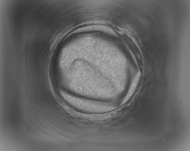 X0000073980001200609111820