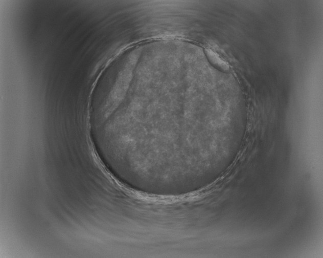 X0000073980002200609111820