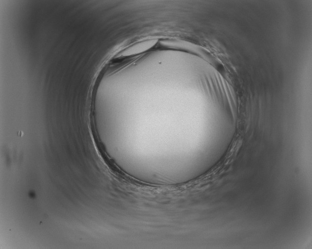 X0000073980003200609111820