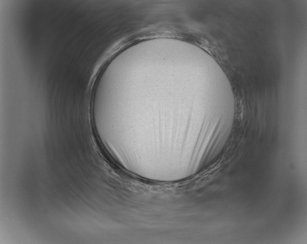 X0000073980004200609111820