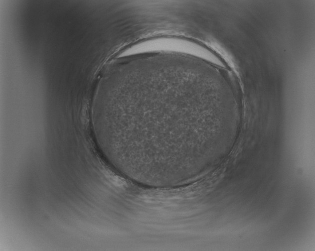 X0000073980009200609111820