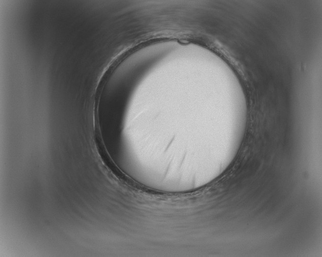 X0000073980011200609111820