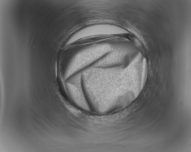 X0000073980013200609111820