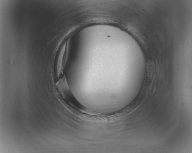 X0000073980015200609111820