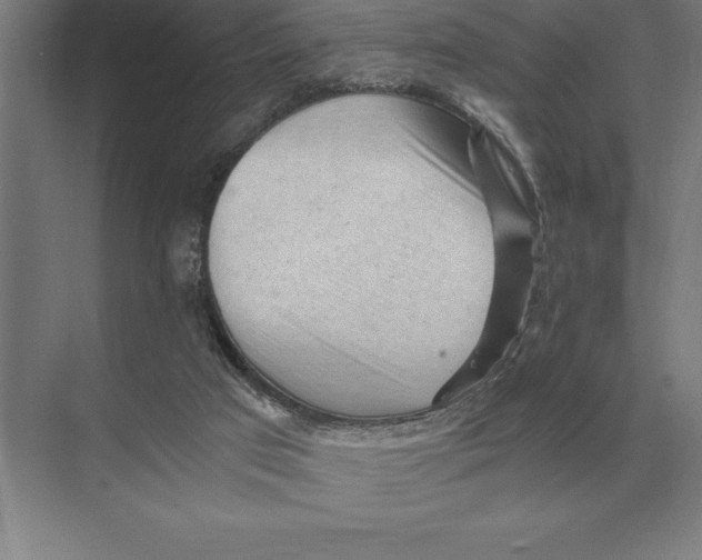 X0000073980017200609111820