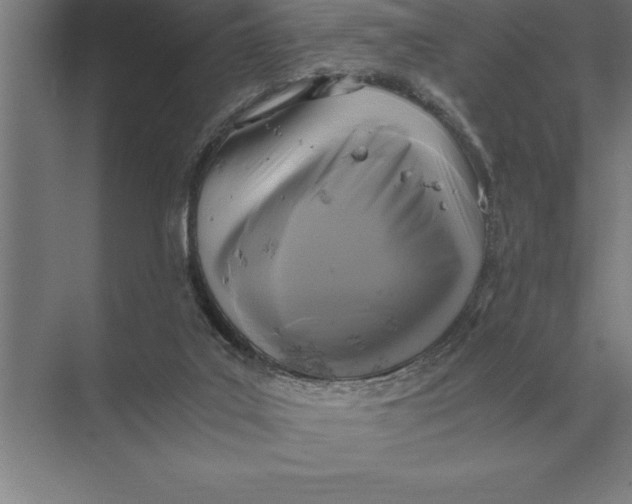 X0000073980019200609111819