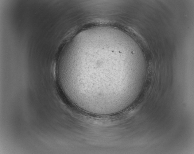 X0000073980024200609111819