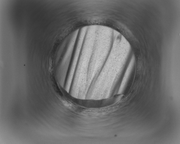 X0000073980025200609111819