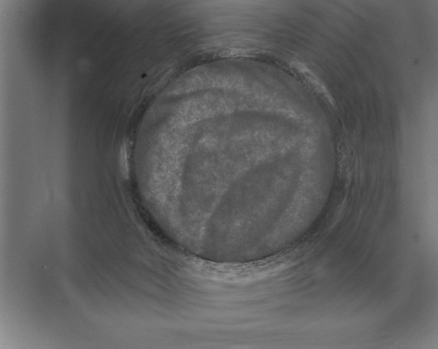 X0000073980026200609111819