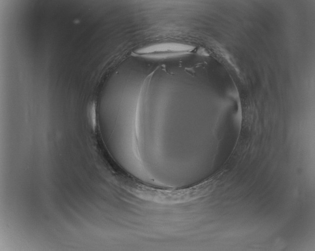 X0000073980027200609111819