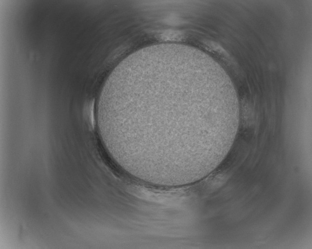 X0000073980028200609111819