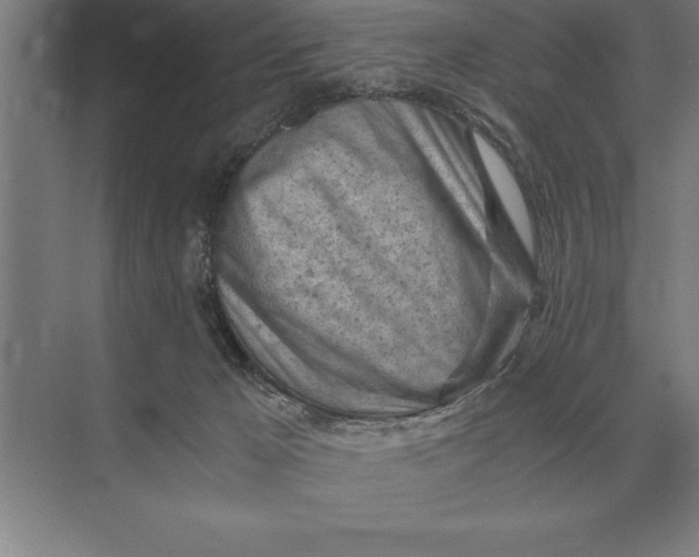 X0000073980029200609111819