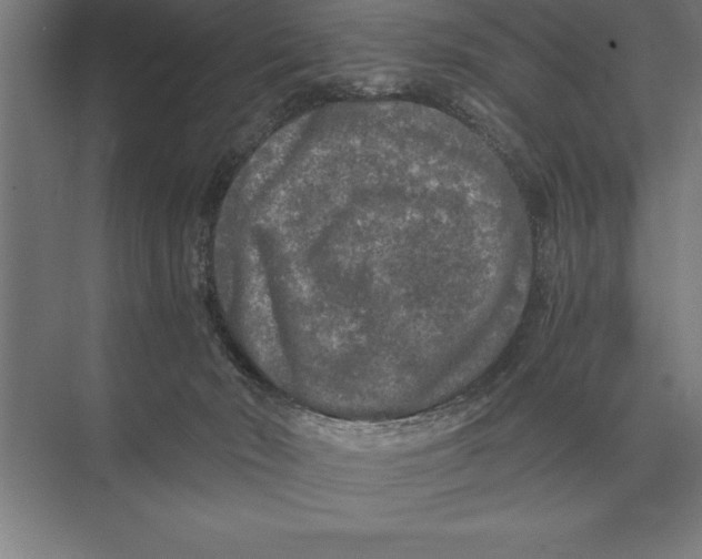 X0000073980030200609111819