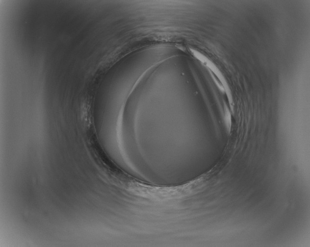 X0000073980031200609111819