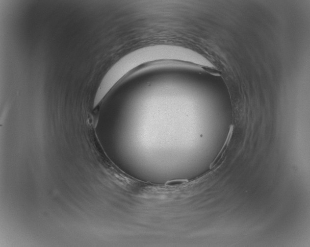 X0000073980033200609111819