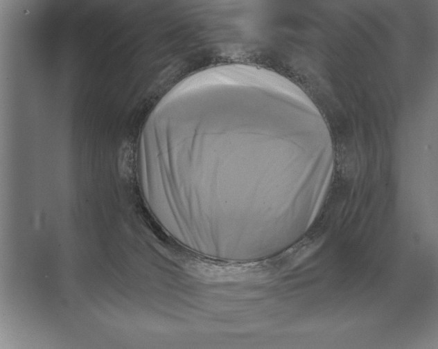 X0000073980036200609111819