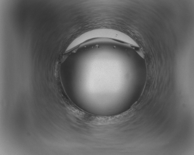 X0000073980037200609111819