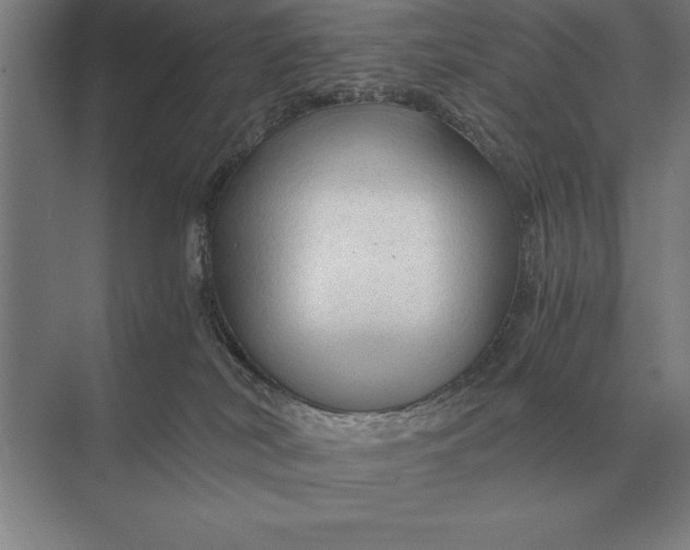 X0000073980038200609111819