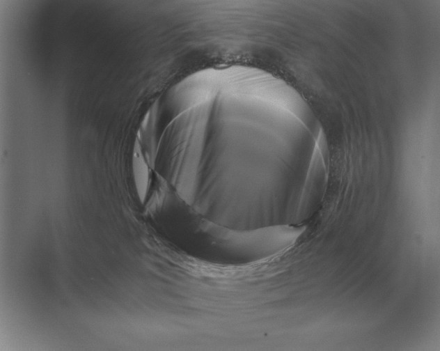 X0000073980039200609111819