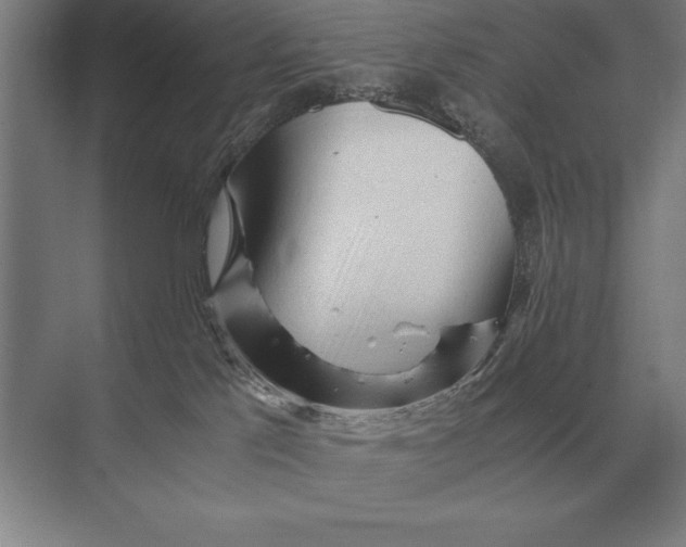 X0000073980041200609111819