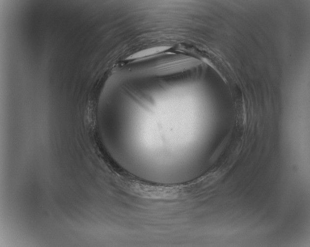 X0000073980044200609111819