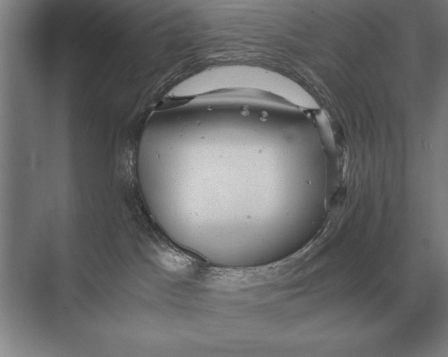 X0000073980045200609111819