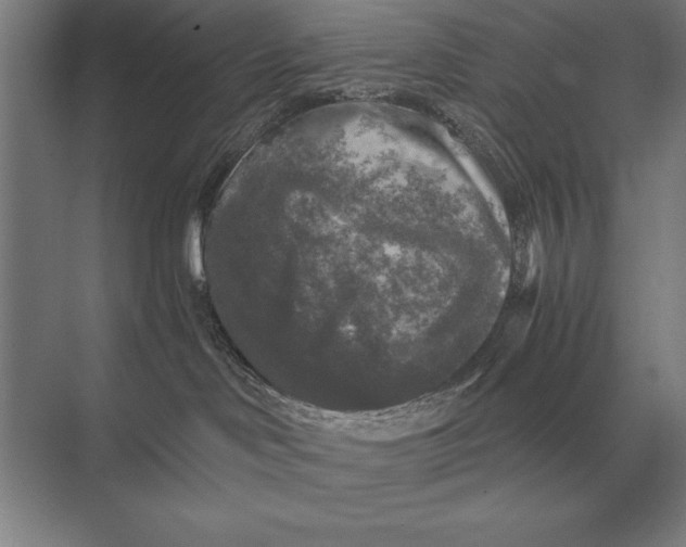 X0000073980046200609111819