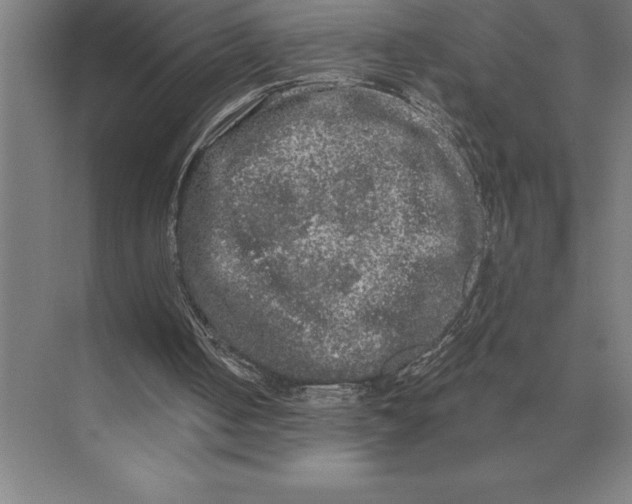 X0000073980050200609111818