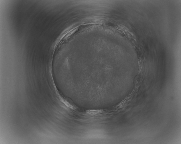 X0000073980051200609111818