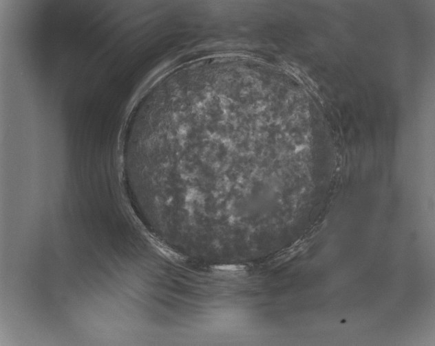 X0000073980053200609111818