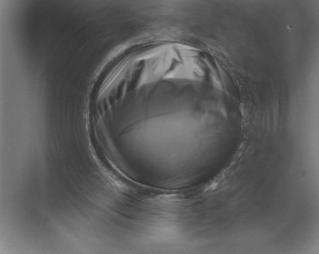 X0000073980054200609111818