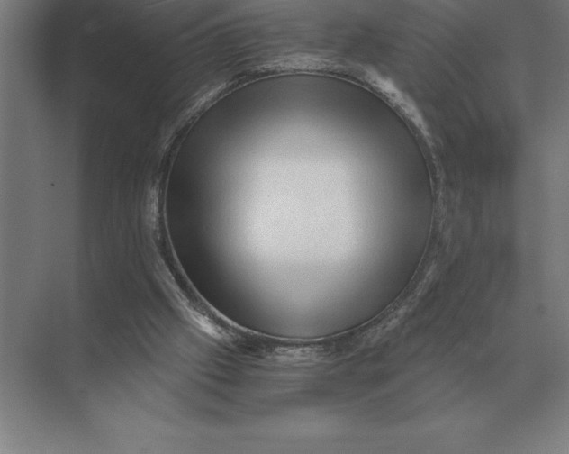 X0000073980057200609111818