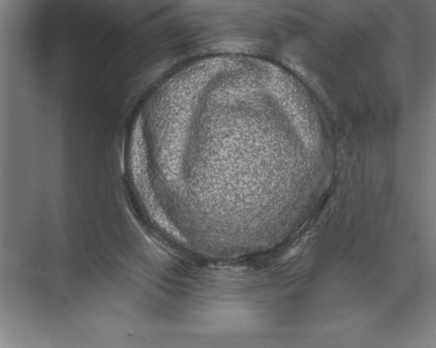 X0000073980062200609111818