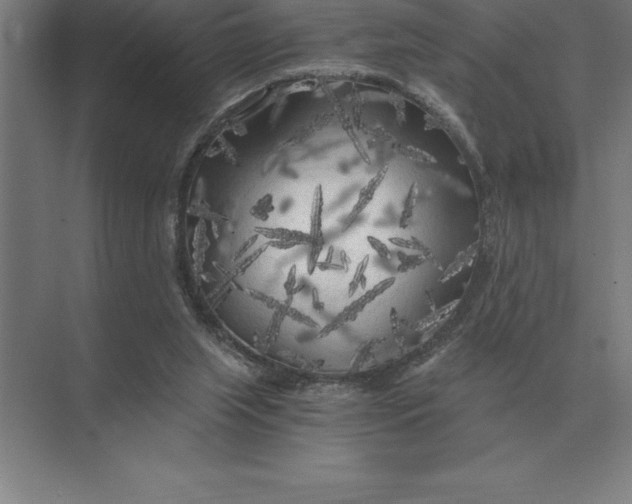 X0000073980063200609111818