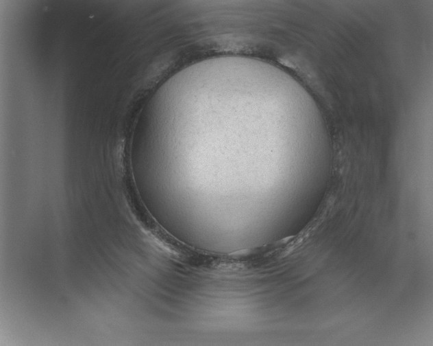 X0000073980066200609111818