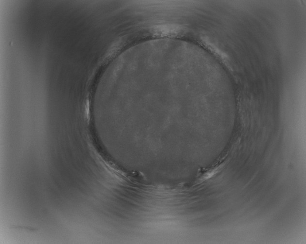 X0000073980067200609111818