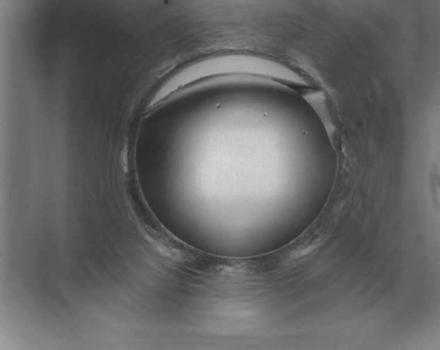 X0000073980068200609111818