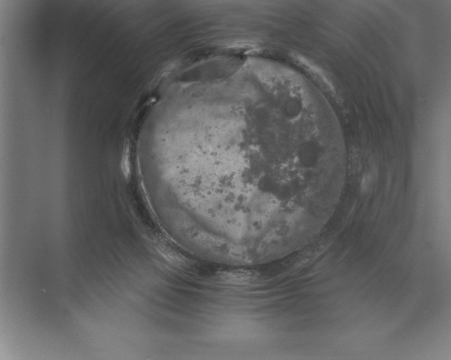 X0000073980069200609111819