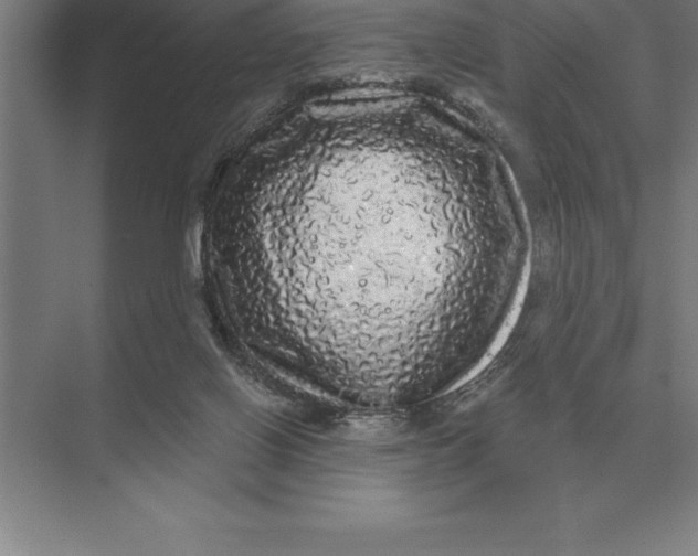 X0000073980070200609111819