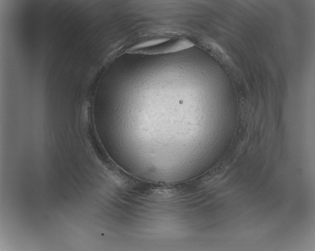 X0000073980071200609111819