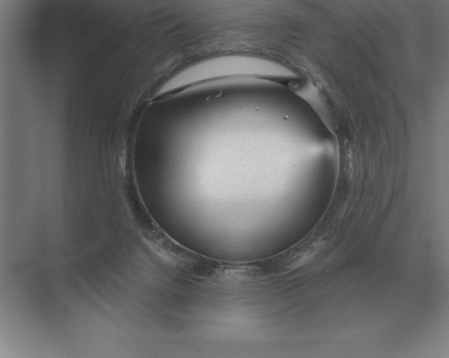 X0000073980072200609111819