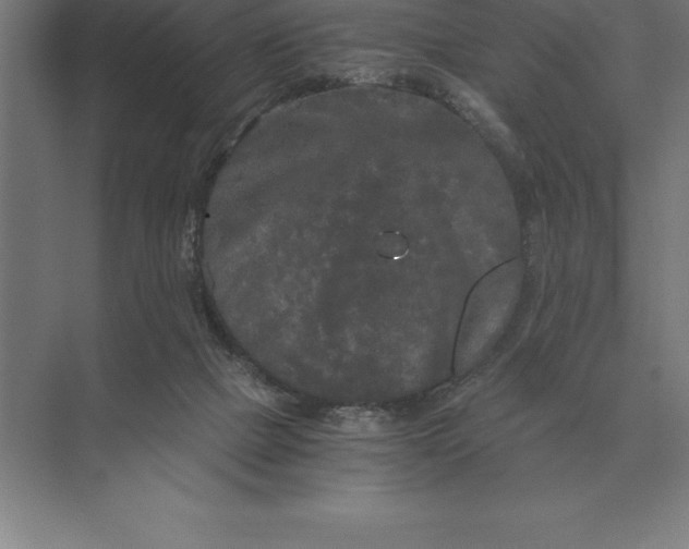 X0000073980073200609111819